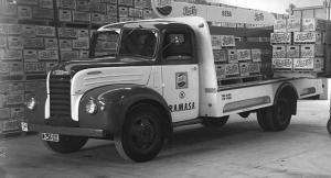M-256631