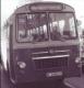 GC-31441