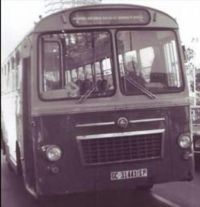 GC-31441