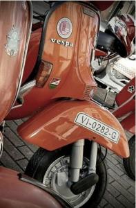 VI-0282-G