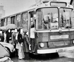 O-115255