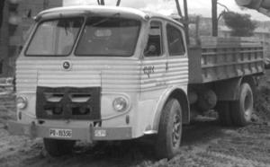 PO-19356