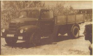 MA-28784