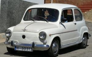 H-30313