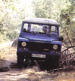 M-6882-GK