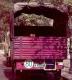 M-331994