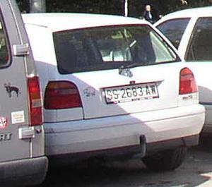 SS-2683-AW