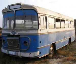 CC-12955