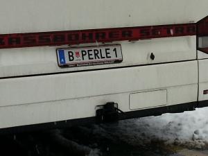 B PERLE1