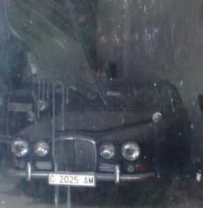 C-2025-AM