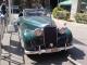 Z-66031