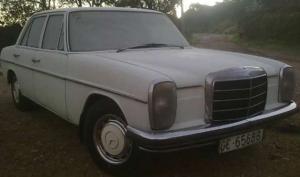 GC-65688