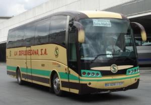 SG-8256-I