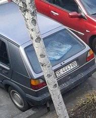 SE-4443-BB