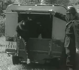 SS-15611
