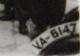 VA-6147