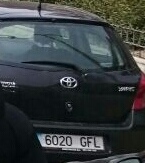 6020-GFL