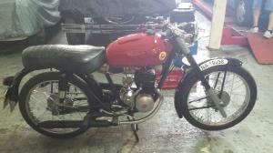 NA-19098