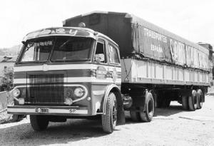 SS-78981