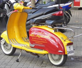 T-24004