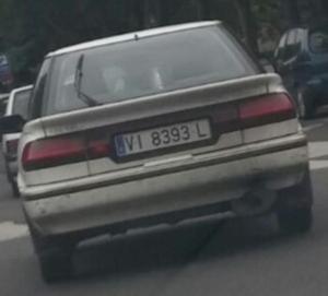 VI-8393-L