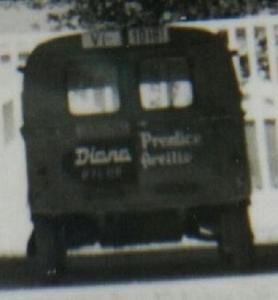 VI-10181