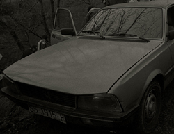 SS-1915-P