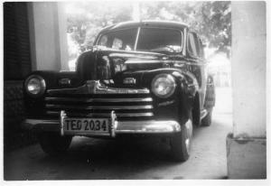 TEG-2034