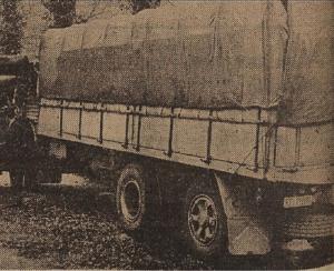 VI-11881