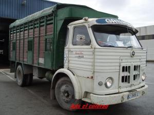 Z-3565-L