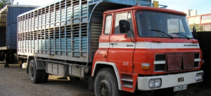 Z-2509-H