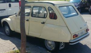 SS-6046-G
