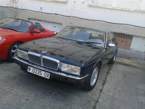 M-0335-OX
