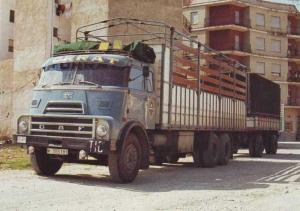 M-555181