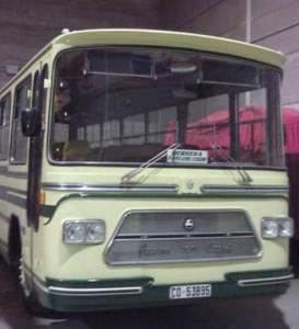 CO-53895