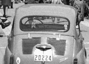 T-20224