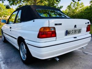 MA-5181-BG