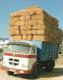 MA-78272