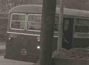SS-48494