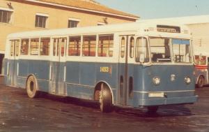 M-631132