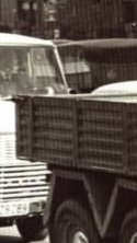 M-428289