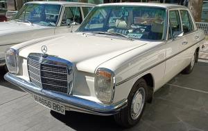 H-3656-BBG