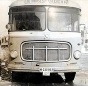 M-239063