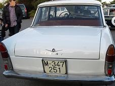 M-347251