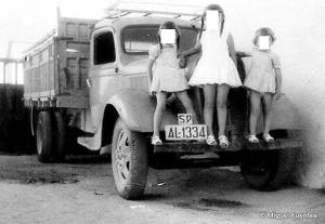 AL-1334