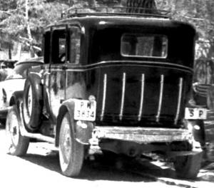 PM-3834