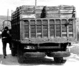 SS-12478