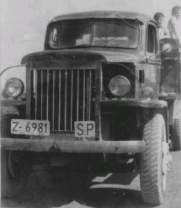 Z-6981