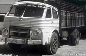 M-238544