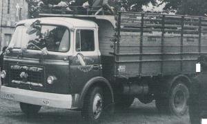 CS-19396